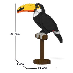 Toco Toucan