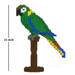 Yellow Collared Macaw Parrot