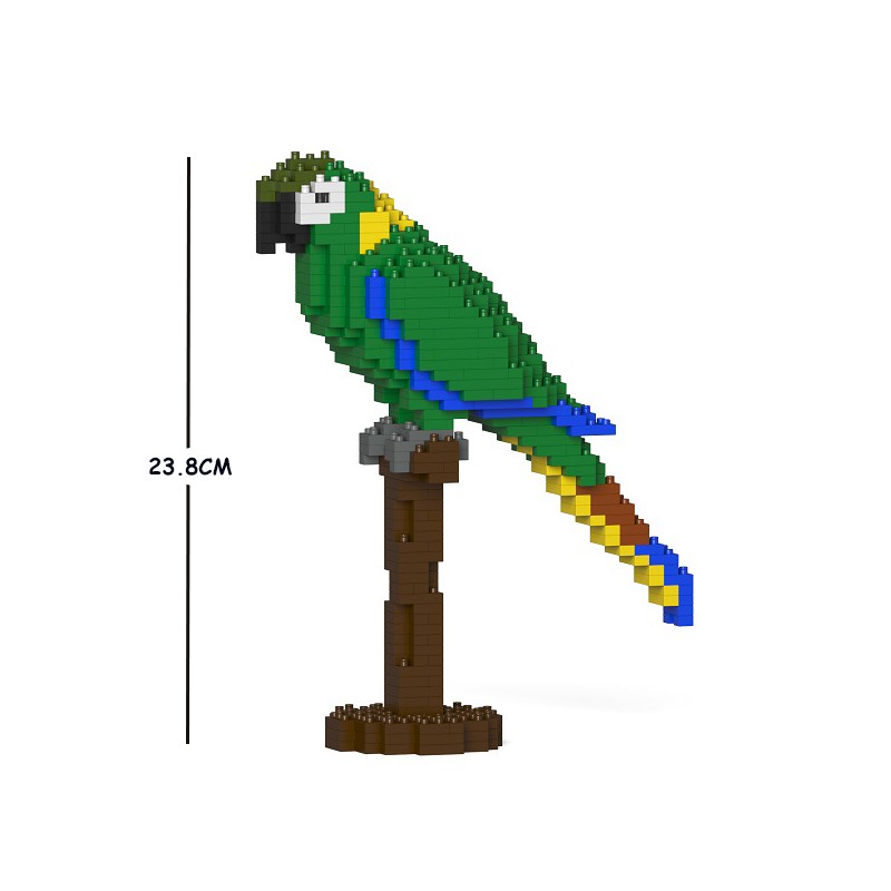 Yellow Collared Macaw Parrot