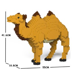 Big size camel