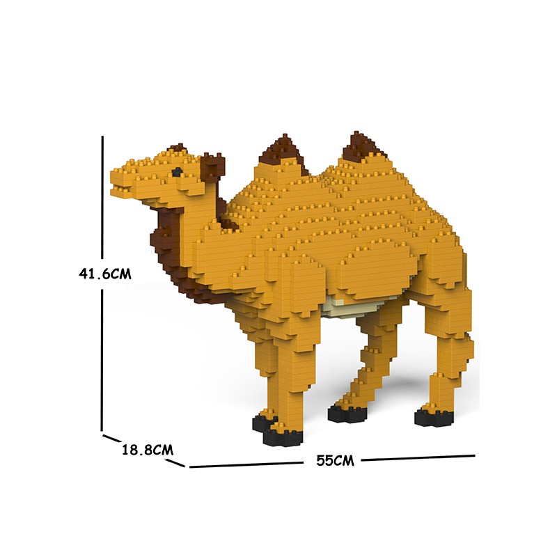 Big size camel