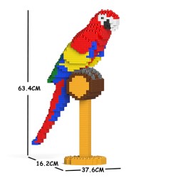 Large Macaw Parrot