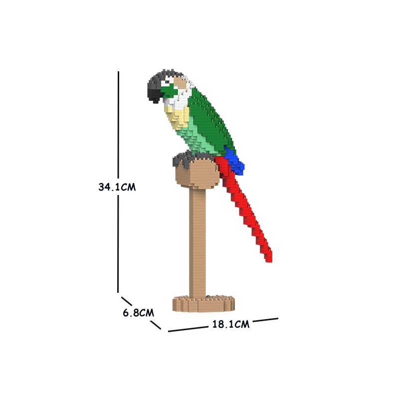 Grey-headed Parakeet