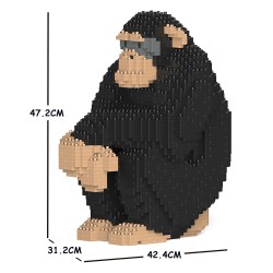 Large chimpanzee
