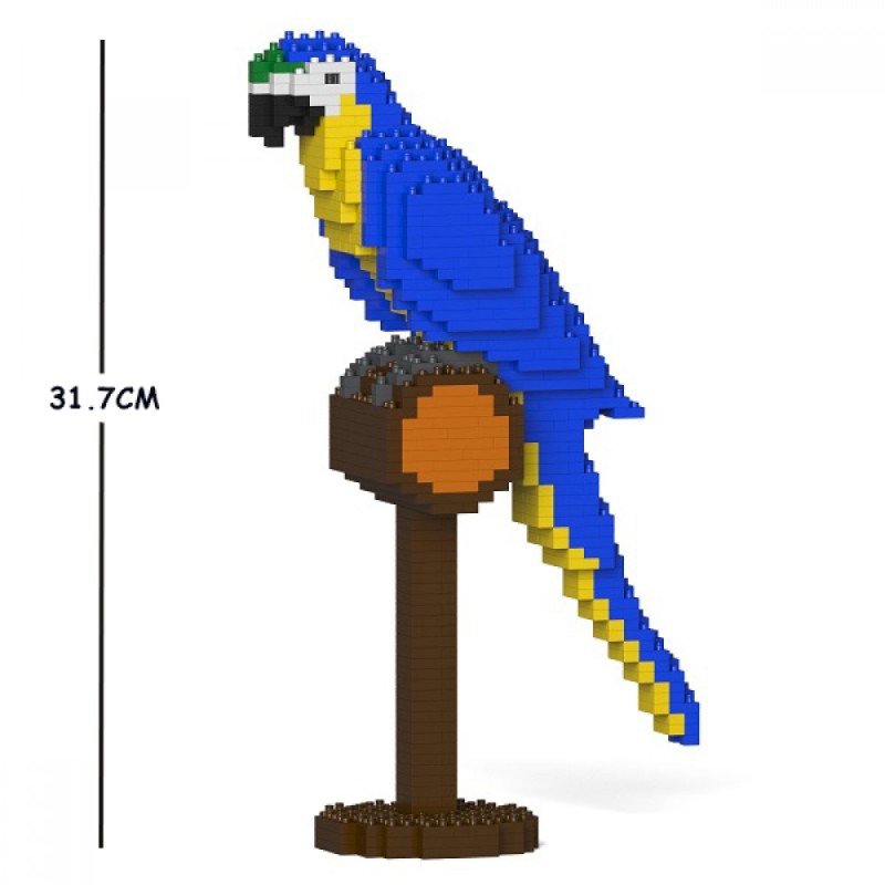 Blue and yellow macaw parrot