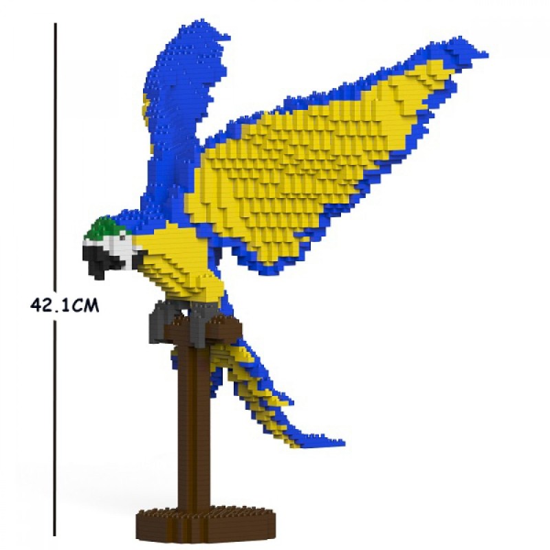 Blue and yellow macaw parrot wings spread